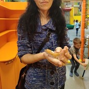 ,   , 34 ,   