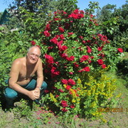  ,   , 62 ,   