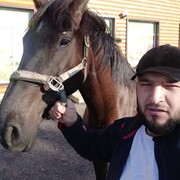 ���������� �����-���������, ���� ������� �����, 36 ���, ������������ ��� ������, ����� � ���������