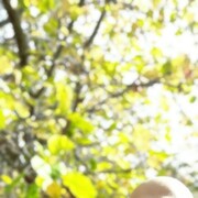 ���������� �����, ���� ������� ���������, 31 ���, ������������ ��� ������, ����� � ���������, c�������� ���������