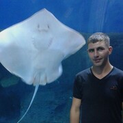 ���������� �������, ������� ���������, 32