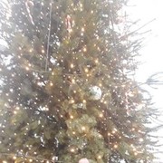 ���������� ����, ���� ������� �������, 52 ����, ������������ ��� ������, ����� � ���������, c�������� ���������