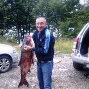  ,   Lapo, 61 ,   ,   , c 