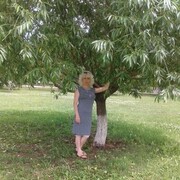  ,   , 50 ,   ,   , c 