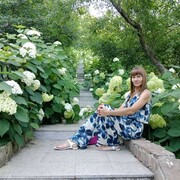  --,   , 43 ,     , c 