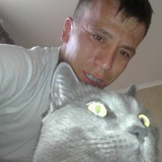  ,   , 38 ,   ,   , c 