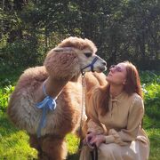 ���������� Anqing, Xenia