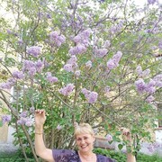 ���������� ������������, ���� ������� �����, 65 ���, ������������ ��� ������, ����� � ���������, c�������� ���������