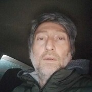  ,  oser, 42