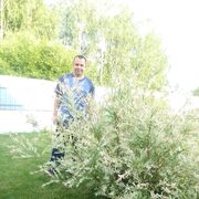 ���������� ����, ���� ������� ������, 37 ���, ������������ ��� ����� � ���������, c�������� ���������