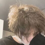 ���������� ������-��-����, ���� ����� ����, 24 ����, ������������ ��� ������, ����� � ���������