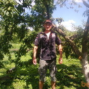  ,  vova, 42