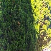 ���������� �������, ���� ������� �����, 58 ���, ������������ ��� c�������� ���������