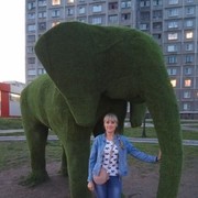 ���������� �����������, ���� ������� �������, 48 ���, ������������ ��� ����� � ���������, c�������� ���������