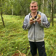 ���������� ������, ���� ������� ����, 33 ����, ������������ ��� ������, ����� � ���������