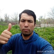 ���������� �����������, ���� ������� ����, 38 ���, ������������ ��� ������, ����� � ���������