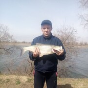 ���������� ���������, ���� ������� ������, 40 ���, ������������ ��� ������, ����� � ���������