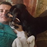  ,   , 49 ,  