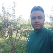  Nuernberg,   Alireza, 36 ,   ,   