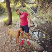 ���������� ���������, ������� �����, 38