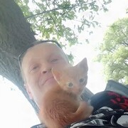  ,    , 44 ,   ,   
