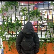 ���������� ��������, ���� ����� ����, 21 ���, ������������ ��� ������, ����� � ���������