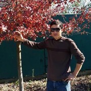 ���������� ������, ���� ������� ����, 31 ���, ������������ ��� ������, ����� � ���������