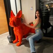 ���������� ������, ���� ������� ����, 29 ���, ������������ ��� ������, ����� � ���������, ���������