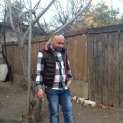  ,   Dddd, 38 ,   