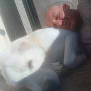  ,   , 44 ,   ,   , c , 