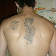 ���������� ������, ���� ������� Niki0102, 40 ���, ������������ ��� ������, ����� � ���������, c�������� ���������