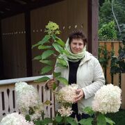  ,   , 63 ,     