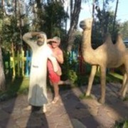  ,   , 51 ,   ,   , c 