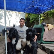 ���������� ������, ���� ����� �������, 24 ����, ������������ ��� ����� � ���������, c�������� ���������