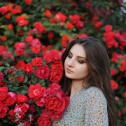 ���������� ������, ���� ������� ��������, 28 ���, ������������ ��� ������, ����� � ���������