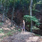  ,   , 44 ,   ,   