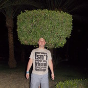  ,   , 48 ,  