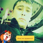  ,   Lion, 33 ,   ,   , c 