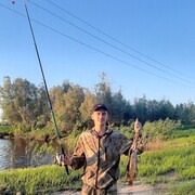 ���������� �������������, ���� ������� �������, 36 ���, ������������ ��� ������, ����� � ���������, c�������� ���������