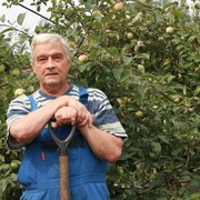  ,   , 73 ,  
