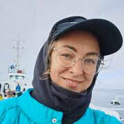 ���������� ������, ���� ������� ����������, 38 ���, ������������ ��� c�������� ���������