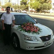  ,   Lion086, 39 ,     , c 