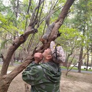  ,   , 59 ,   ,   , c , 