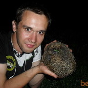 ���������� �������, ���� ������� �����, 39 ���, ������������ ��� ����� � ���������, c�������� ���������