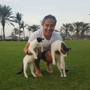 With my cats