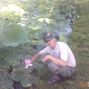 ���������� ���������, ���� ������� ����, 33 ����, ������������ ��� ������, ����� � ���������, c�������� ���������