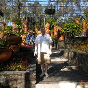 ���������� ���������, ���� ������� ����, 67 ���, ������������ ��� ������