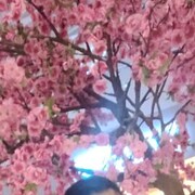 ���������� ������, ���� ������� ����, 28 ���, ������������ ��� ������, ����� � ���������