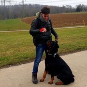 ���������� �������, ���� ������� David, 46 ���, ������������ ��� ������, ����� � ���������, c�������� ���������