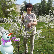 ���������� ��������, ���� ������� �������, 50 ���, ������������ ��� ������, ����� � ���������